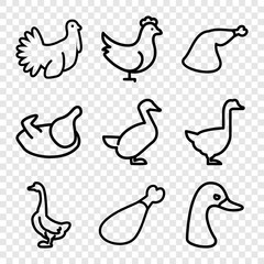 Set of 9 poultry outline icons