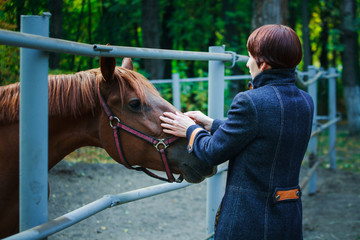 Obraz premium The girl first saw the horse. The horse touched his nose to the woman's palm.