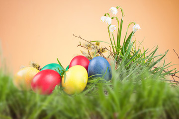 Easter colored eggs in the grass