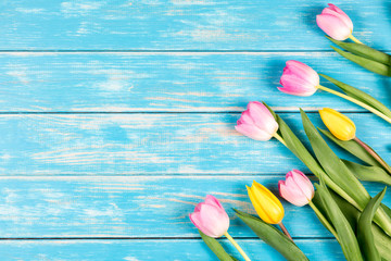 Pink and yellow tulips on a blue wooden background.