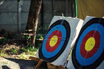 Archery target,Bullseye in archery,Archery shooting target standing on the grass...