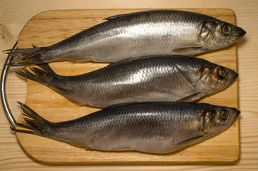 fresh fish herring on a chopping board on wooden table.