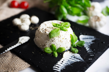 Homemade fresh ricotta and mozzarella cheese with basil and spices on plate