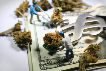Fototapeta na wymiar Cannabis & Money High Quality 