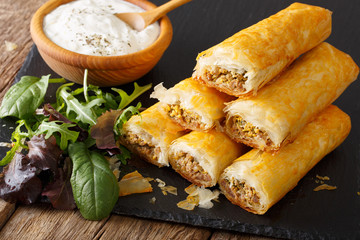 African cuisine: rolls stuffed with minced meat and eggs close-up. horizontal