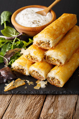 Filo rolls stuffed with minced meat and eggs close-up and yogurt. vertical