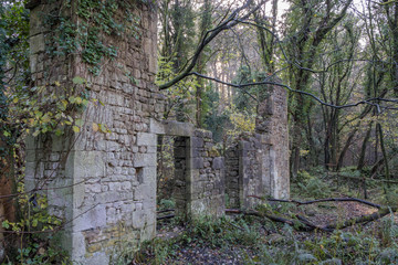 Naklejka premium ruin in the woods