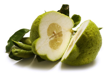 Citrus medica Citron Cedro أترج Κιτριά אתרוג Suckatcitron Цитрон بالنگ...