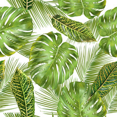 Vector tropical seamless pattern with monstera and croton leaves. Exotic design for cosmetics, spa, health care products. Can be used as wedding or summer background. Best for wallpaper, fabric © purplebird