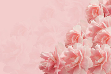 240_F_142125865_BF9AaDoN9WAhOGNXeSBpVEwjfXfM8Ew9