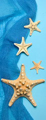 Fototapeta na wymiar Marine blue background with seashells and starfish in fishing nets, border design panoramic banner 