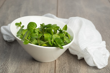 Watercress