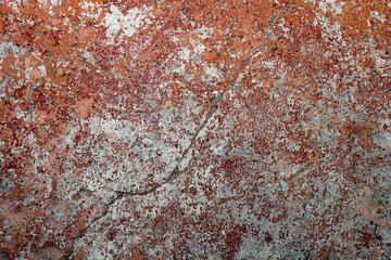 Facade husk stucco texture