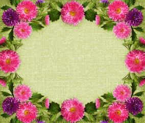 Pink and purple aster flowers and buds frame on green canvas