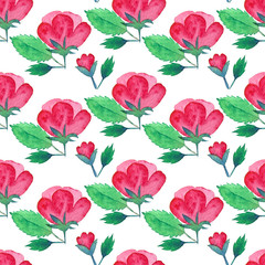 Seamless watercolor botanical pattern with flowers and leaves
