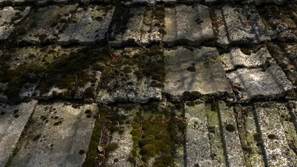 Old roofing, pattern of tiles on the old roof