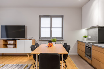 Modern open space apartment