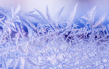Ice flowers on a window