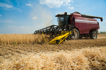 Plakat Combine harvesters in a field of wheat