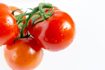 Tomatoes on the vine on white background