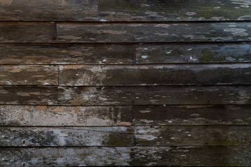 Fototapeta premium Wood textured,Natural material design for interior and exterior,Dirty wood panel.