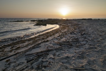 Tramonto in spiaggia con alghe e vecchi giunchi