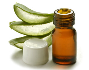 Aloe vera Αλόη η γνήσια 費拉蘆薈 pravá घृत कुमारी Alveja אלוורה Алоэ настоящее Lääkeaaloe Lô hội  Tıbbi sarısabır ว่านหางจระเข้  Äkta  Aloes zwyczajny 
