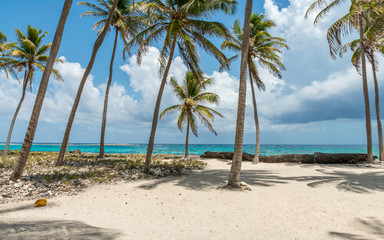 Caribbean tropical beach