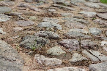 Stone pavement with moss