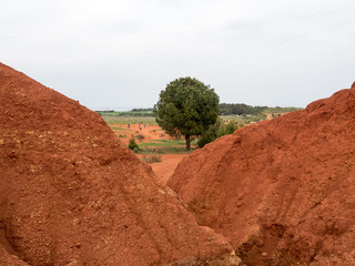 Salento, terra rossa 