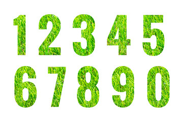 Green grass numbers set isolated on white background. Abstract nature collection. Design - element
