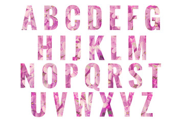 Abc Lilac flowers Alphabet letters isolated on white background. Design - element.