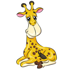 Основные RGB