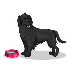 Основные RGB