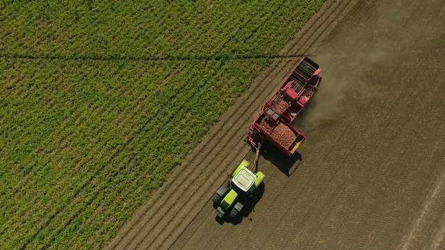 Potato Harvesting by Mechanical means. Potato Harvesters in the Field. Aerial view