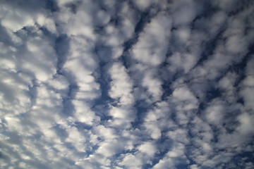 Altocumulus clouds