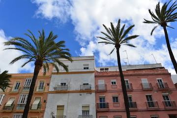Naklejka premium Altstadt von Cadiz in Andalusien - Spanien