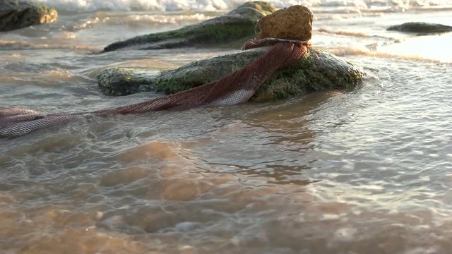 Fish in the seine on the beach. Waves and fish. Stones on the sea coast. Evening sunset over the sea.