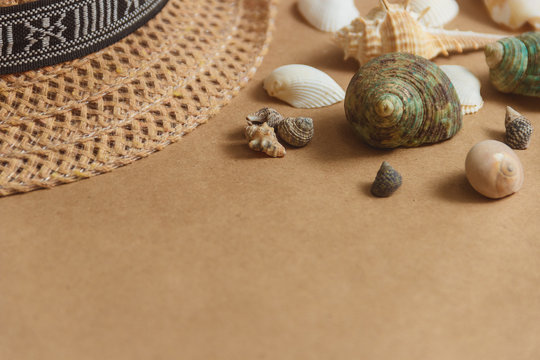 Seashells on wooden background with copyspace. travel concept