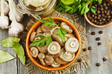 Pickled mushrooms in the ceramic bowl