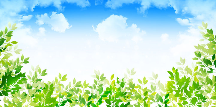 新緑　葉　緑　背景