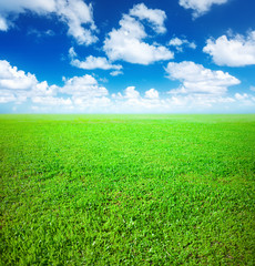Fototapeta na wymiar Grass field and blue sky