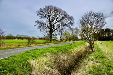 Road on the village
