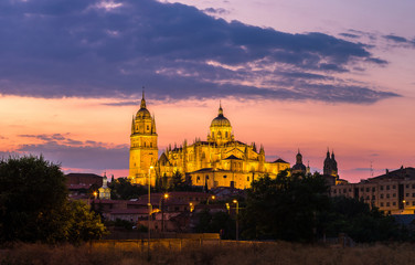 Cathedral in Salamanca - obrazy, fototapety, plakaty