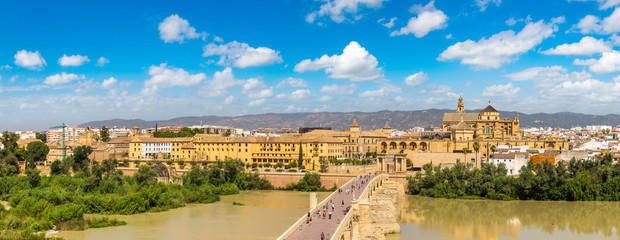 Fototapeta premium Roman Bridge in Cordoba