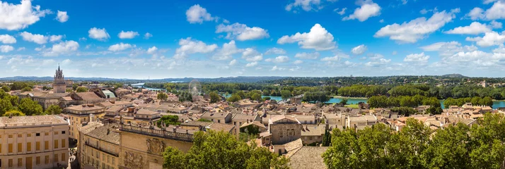 Foto op Canvas Panoramic aerial view of Avignon © Sergii Figurnyi