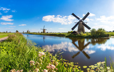 Windmills and canal in Kinderdijk - obrazy, fototapety, plakaty