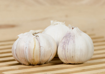 Garlic head