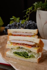 pork cutlet sandwich