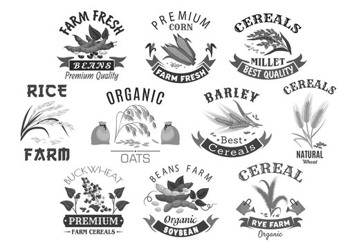Grain and cereal product farm market vector icons